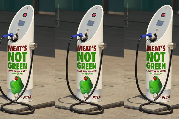 PETA borne de recharge