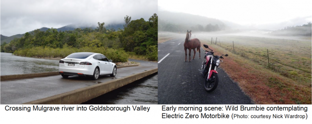 Traversée de la rivière Mulgrave dans la vallée de Goldsborough Scène matinale : Un brumbie sauvage contemple la moto électrique Zéro ( Photo : Nick Wardrop )